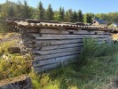 Продається старе дерево